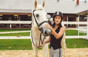 Crafting Perfect Equestrian Facilities For Horse Enthusiasts