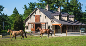 How Riding Arenas Can Improve Your Riding Skills And Mental Health