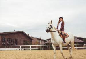 Equestrian Facilities: Where Horse Enthusiasts Thrive