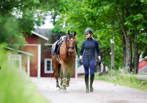 Riding High: Exploring Equestrian Facilities and Services