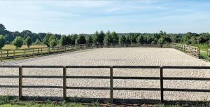 Optimizing Equestrian Facilities: Tips for Equine Enthusiasts