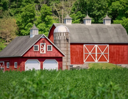 Stunning Custom Barns: Built To Your Specs